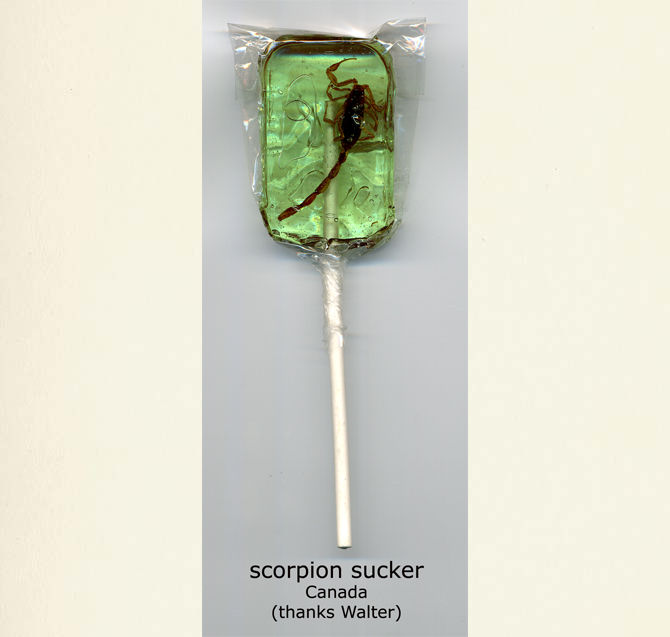 scorpion sucker